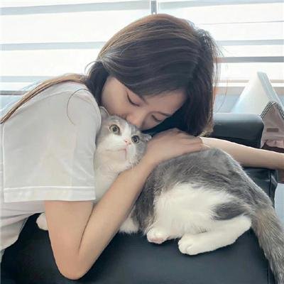 肝胆雄心